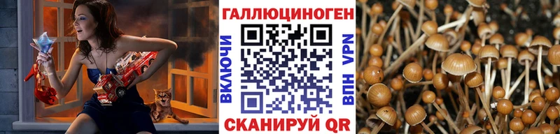 Псилоцибиновые грибы MAGIC MUSHROOMS  купить наркотики цена  Анива 